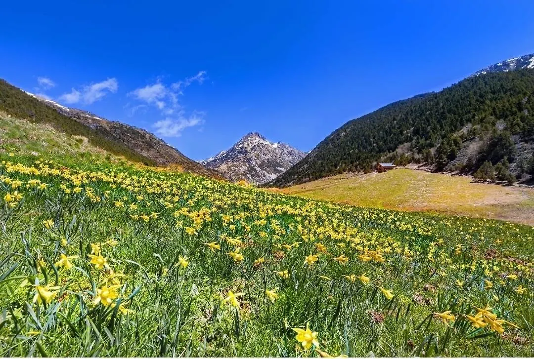 アパート S Valle De Incles- Grandvalira Free Parking カニーリョ